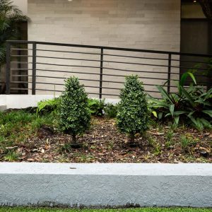 Nearly Natural 2.5ft. UV Resistant Artificial Boxwood Plant with Integrated Ground Stake (Indoor/Outdoor) - Set of 2